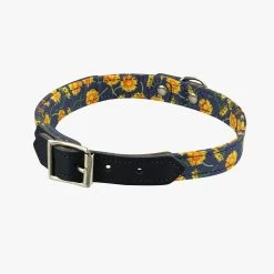 Dandelion Large Pet Collar
