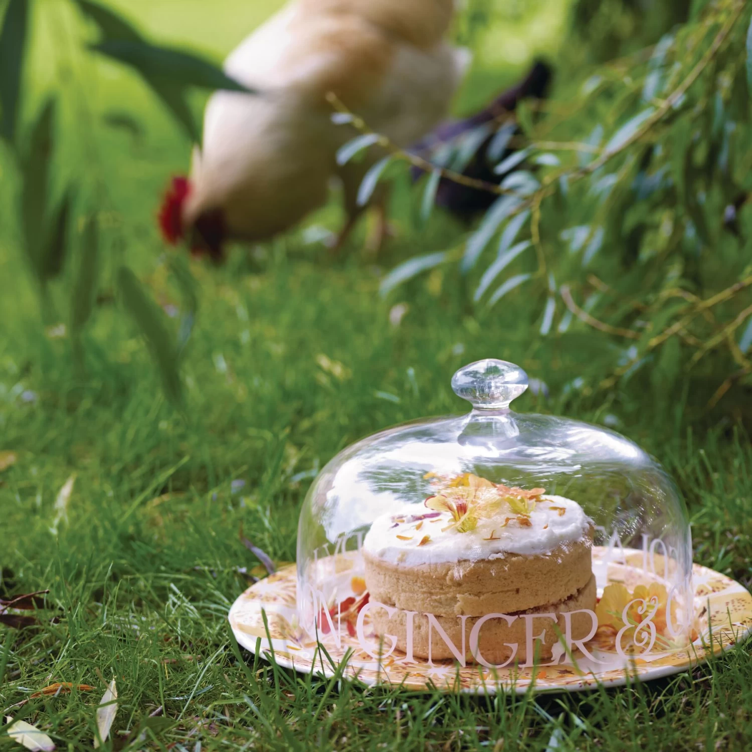 Black Toast Glass Cake Dome - Image 2